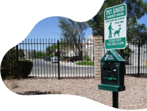 Reasons Why Dog Poop Cleanup is Important
