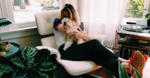 Living in an Apartment with Dogs